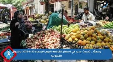 رسميًا.. تحديث جديد في أسعار الفاكهة اليوم الأربعاء 20-8-2025 بأسواق القليوبية